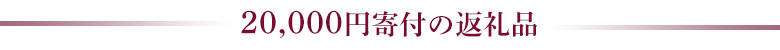 20,000円の返礼品