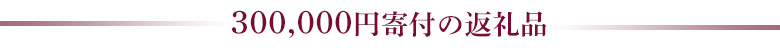 30,000円の返礼品