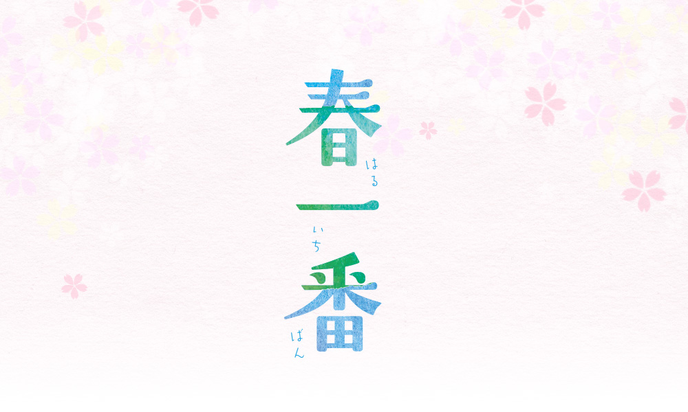 春一番